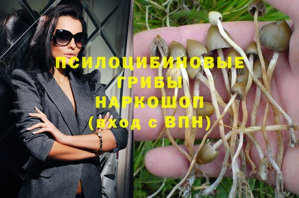 гашик Бронницы